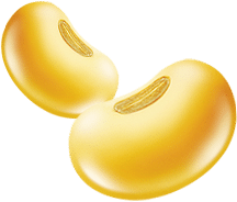 ถั่วเหลืองแท้