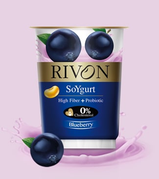 Soygurt BlueBerry