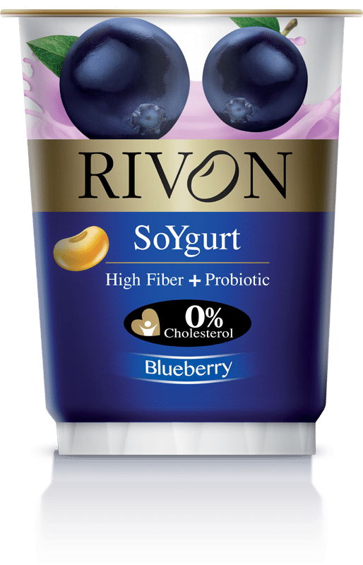 SoYgurt BlueBerry